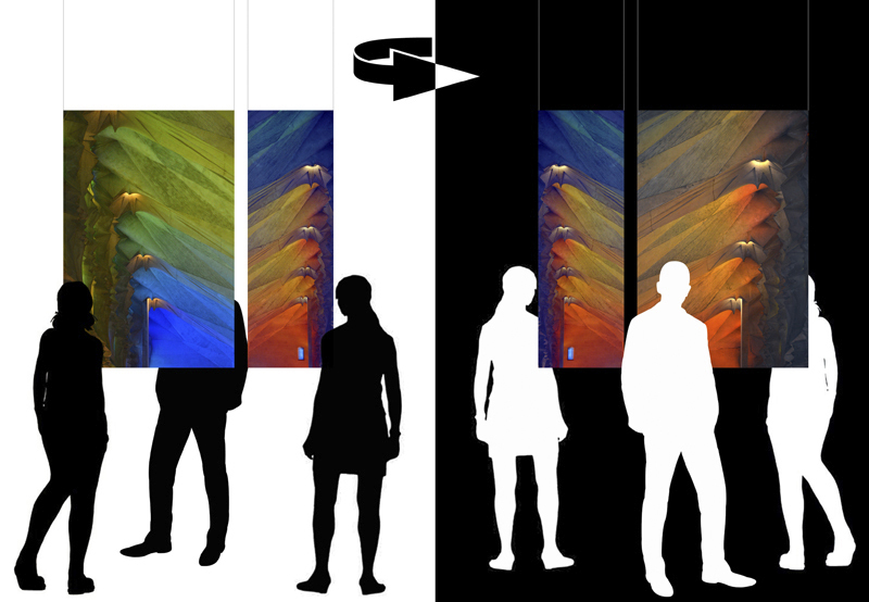 Light Field - exhibition layout